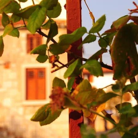 Nebojsega Santa Croce Mare